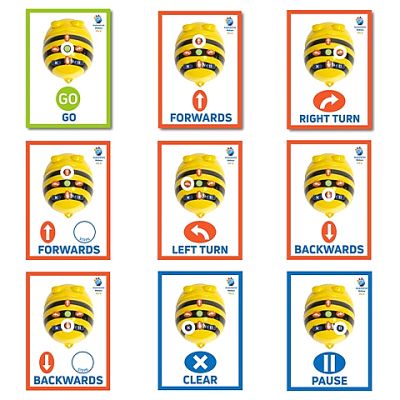 BeeBot    ()